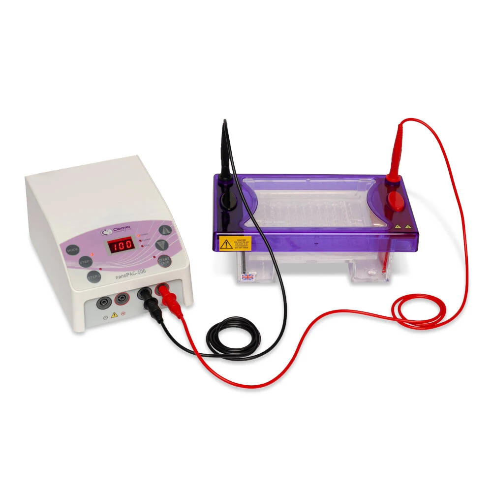 Electrophoresis system