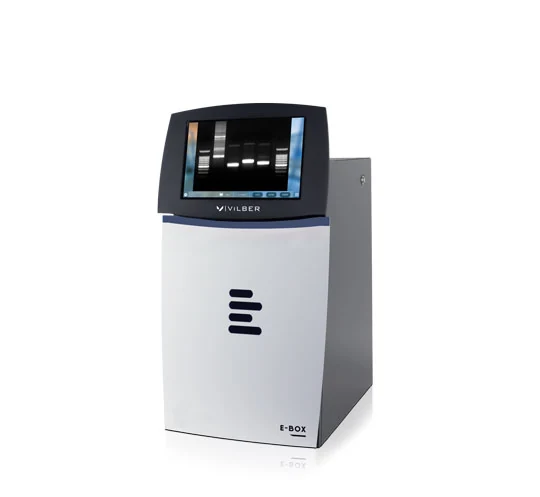 Gel electrophoresis imaging